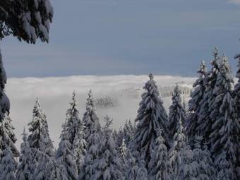 Hostal Vila Stefana Paltinis