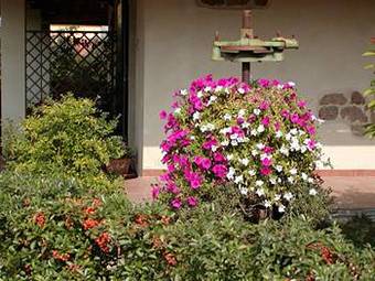 Agroturismo Breakfast Hotel Le Volpaie