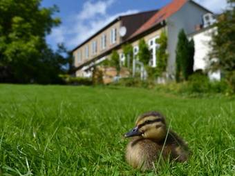 Det Gamle Apotek Bed & Breakfast