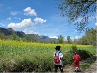 Agroturismo Apartaments Mas Violella