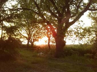 B&B Il Nido Di Alice