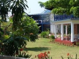 Hotel Negril Tree House Resort