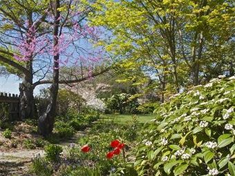 Hartley Homestead Boutique Bed & Breakfast