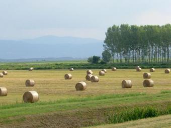 Apartment Massarella Due Fucecchio