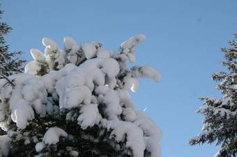 Hostal Haus Stefanie