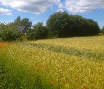 Lodge Stuga Romakloster