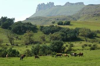Hotel Lake Naverone Holiday Cottages