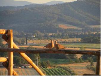 Agroturismo Wine Resort Conti Di San Bonifacio