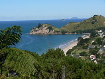 Hahei Holiday Resort