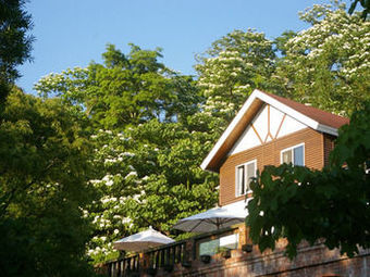 Bed & Breakfast Futen House Villa