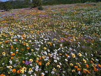 Le Mahi B&B And Guest House