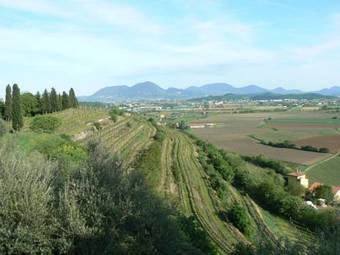 Agroturismo Il Castello