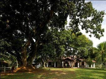Agroturismo Comilla Bungalow