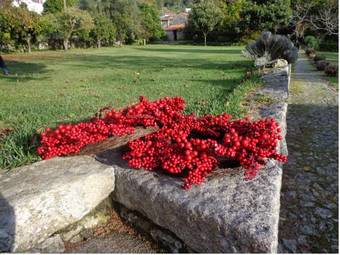 Agroturismo Casa Da Eira De Moledo