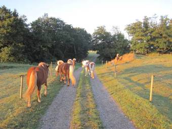 Sejtr�k Apartments