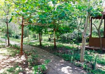 Hotel Nature Lanka Ayurveda Resort