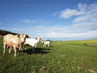 Agroturismo Agriturismo Piani Della Marina