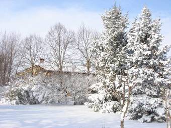 La Corte Del Cavaliere Bed & Breakfast