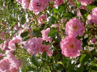 Agroturismo Stakaberg Konferens & G�rdshotell