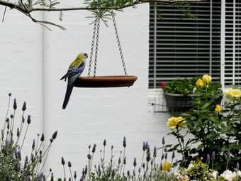 Agroturismo Homewood Cottages