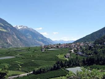 Apartamento Residence Karpoforus