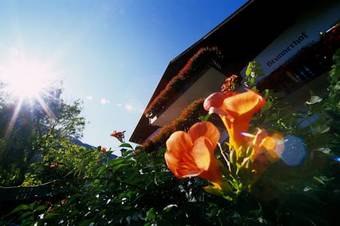 Hostal Residence Alpina