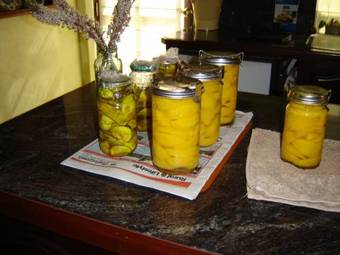 Bed & Breakfast Blackwood Inn Innkeepers House