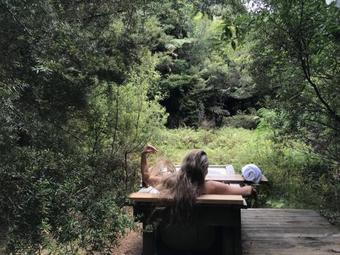 Hostal Birdsnest Holiday Home