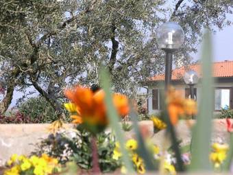 Hostal Agriturismo Gli Etruschi