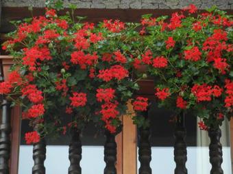 Los Lagos Apartamentos