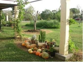 Agroturismo Masseria Copertini