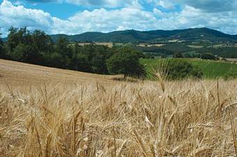 Agroturismo La Fontaiola