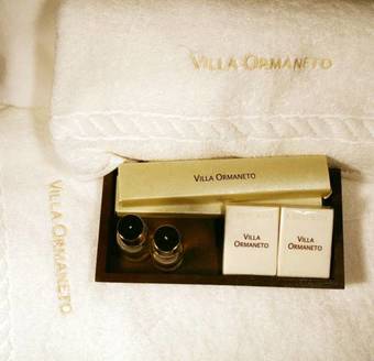 Bed & Breakfast Villa Ormaneto