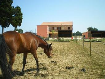 Agroturismo Conero Ranch