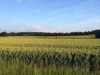 Posada The Black Boys Inn