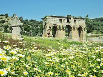 Hostal Zeybek 1 Pension