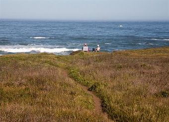 Hotel Surf And Sand Lodge