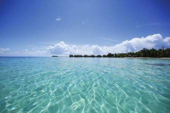 Hotel Tikehau Pearl Beach Resort