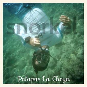 Villa Palapas La Choya