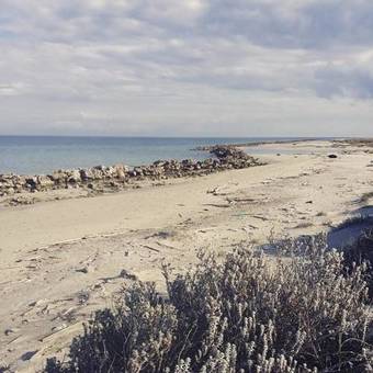 Hostal Masseria Vittoria