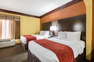 Hotel Comfort Suites Lake Jackson