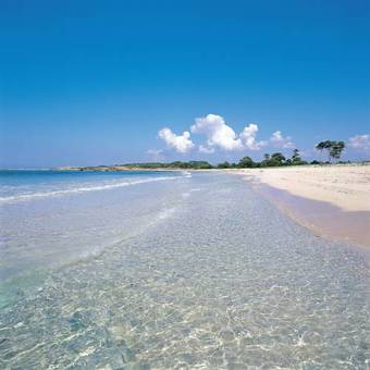 Agroturismo Sa Carrotja - Adults Only