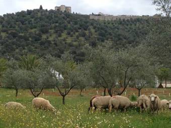 Agroturismo Casas De Santa Rita
