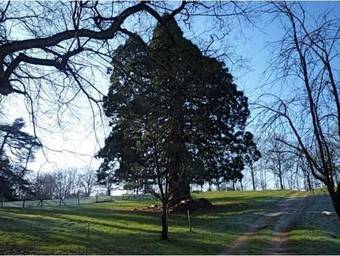 Agroturismo Domaine De Joreau