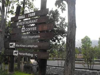 Hotel Small Farm Resort