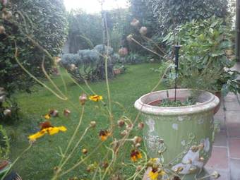 Bed & Breakfast La Carioca