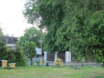 Apartm�n U Borovice