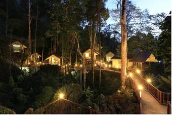Hotel Rock And Tree House Resort