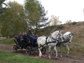 Hostal Ferienhof Heins