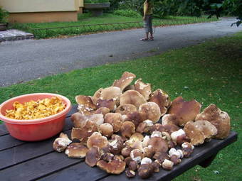 Apartm�ny Slun�cko